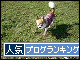 br_decobanner_20091202213638.gif