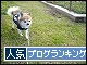 br_decobanner_20091206143302.gif