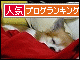 br_decobanner_20091209220828.gif