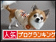 br_decobanner_20091212221853.gif