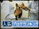 br_decobanner_20091213145834.gif