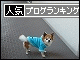 br_decobanner_20091221213044.gif
