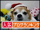 br_decobanner_20091223151943.gif