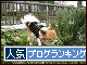 br_decobanner_20091227143211.gif