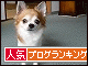 br_decobanner_20091230210908.gif