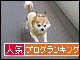 br_decobanner_20100101152157.gif