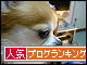 br_decobanner_20100103154950.gif