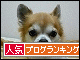 br_decobanner_20100109160440.gif
