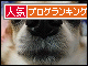 br_decobanner_20100110143517.gif