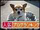 br_decobanner_20100117151557.gif