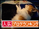 br_decobanner_20100121221443.gif