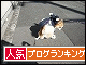 br_decobanner_20100123145328.gif