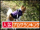 br_decobanner_20100124143154.gif