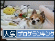 br_decobanner_20100124153834.gif