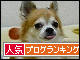 br_decobanner_20100128215211.gif