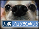 br_decobanner_20100129220744.gif