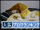 br_decobanner_20100131133259.gif
