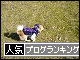 br_decobanner_20100131145548.gif