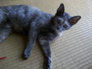 PAP_0052.jpg
