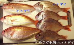 20091130-4.jpg