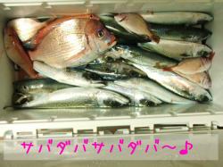 20091130.jpg