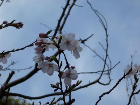 20110403001.jpg