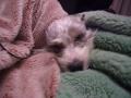 CIMG2365_R_20110211230044.jpg