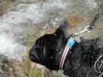 DSC01877.jpg