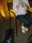 DSC02522.jpg