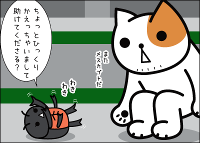 k6