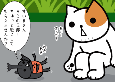 k9