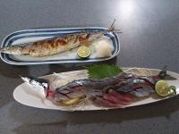サンマだぜ
