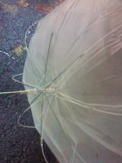 20090831205850