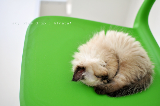 ううぅ(涙)