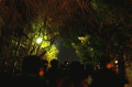 A2010-1-1--DSC00345nnn.gif