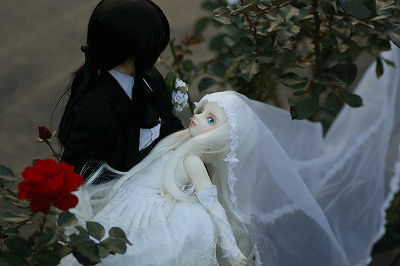 ASi-IWBP911-DSC08046ppp.gif