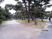 すごく広くてよく整備された、浜寺公園!