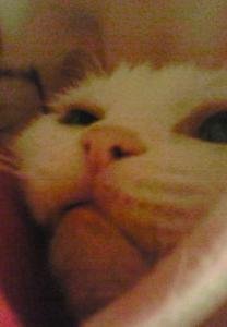 200910102239000.jpg