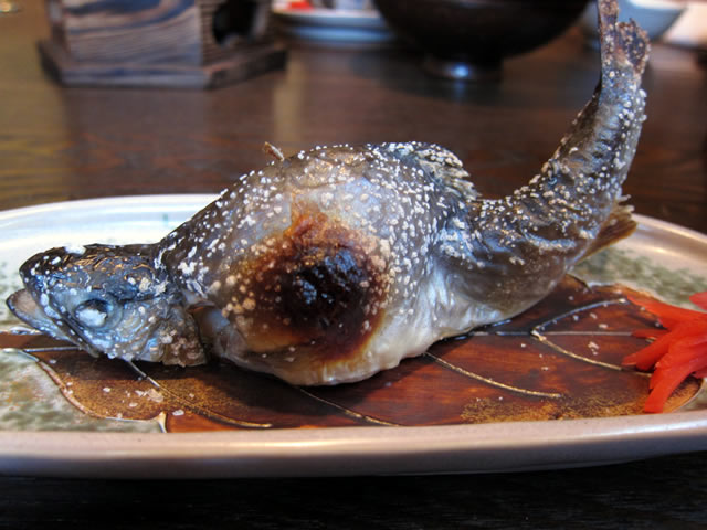 岩魚