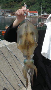 CIMG0387.gif
