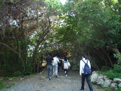 山の中をどんどん進む