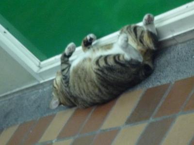 お疲れ様でした