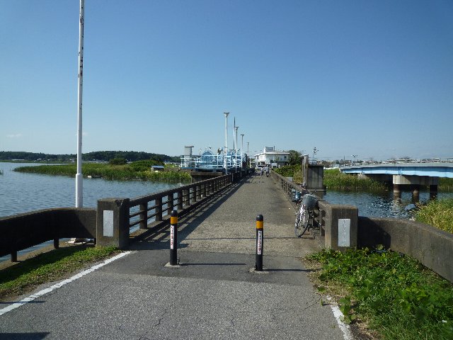 手賀沼090913005