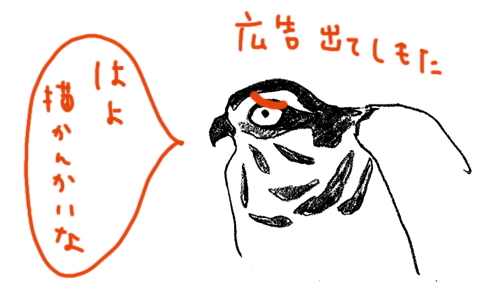 知床のイラストとブログ