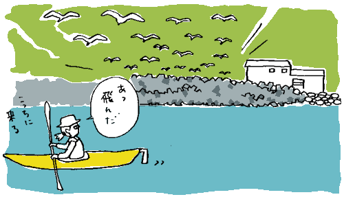 いっせいに飛び立つゴメ