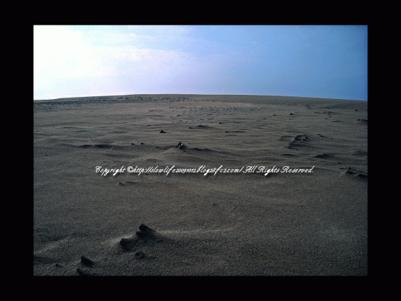 11_20100211094659.gif