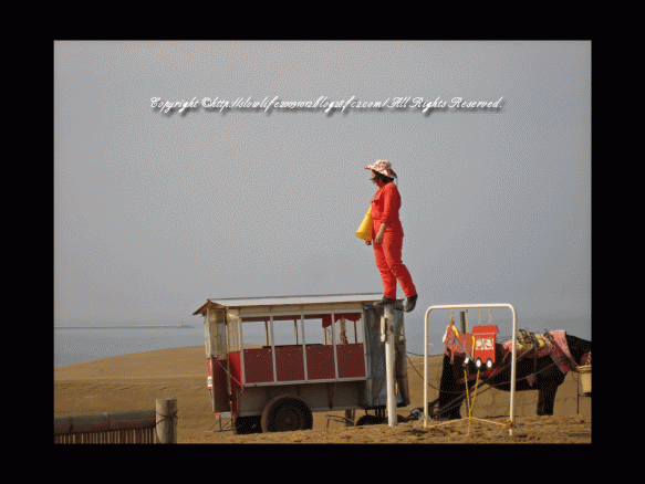 14_20100211094659.gif