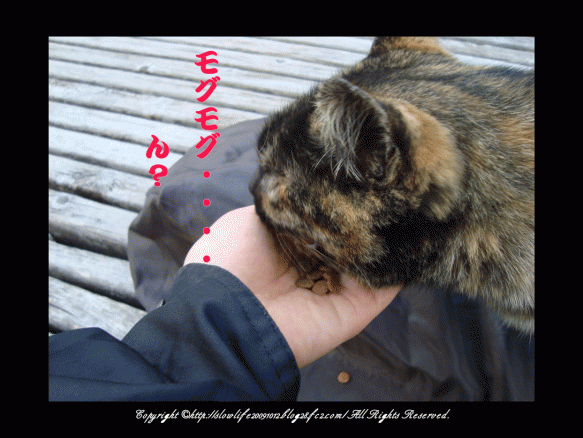 2.gif