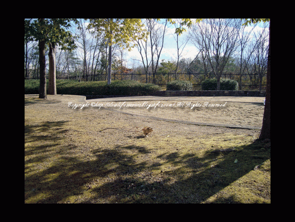 85469-111.gif