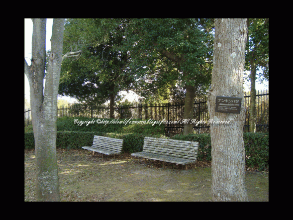 85469-112.gif